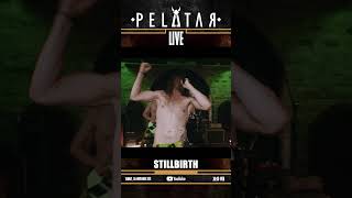[Teaser] Stillbirth // PELATAR LIVE