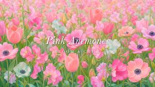 Pink Anemones in Full Bloom 🌸 soft waltz piano & flute for studying, reading & sleep screenshot 4