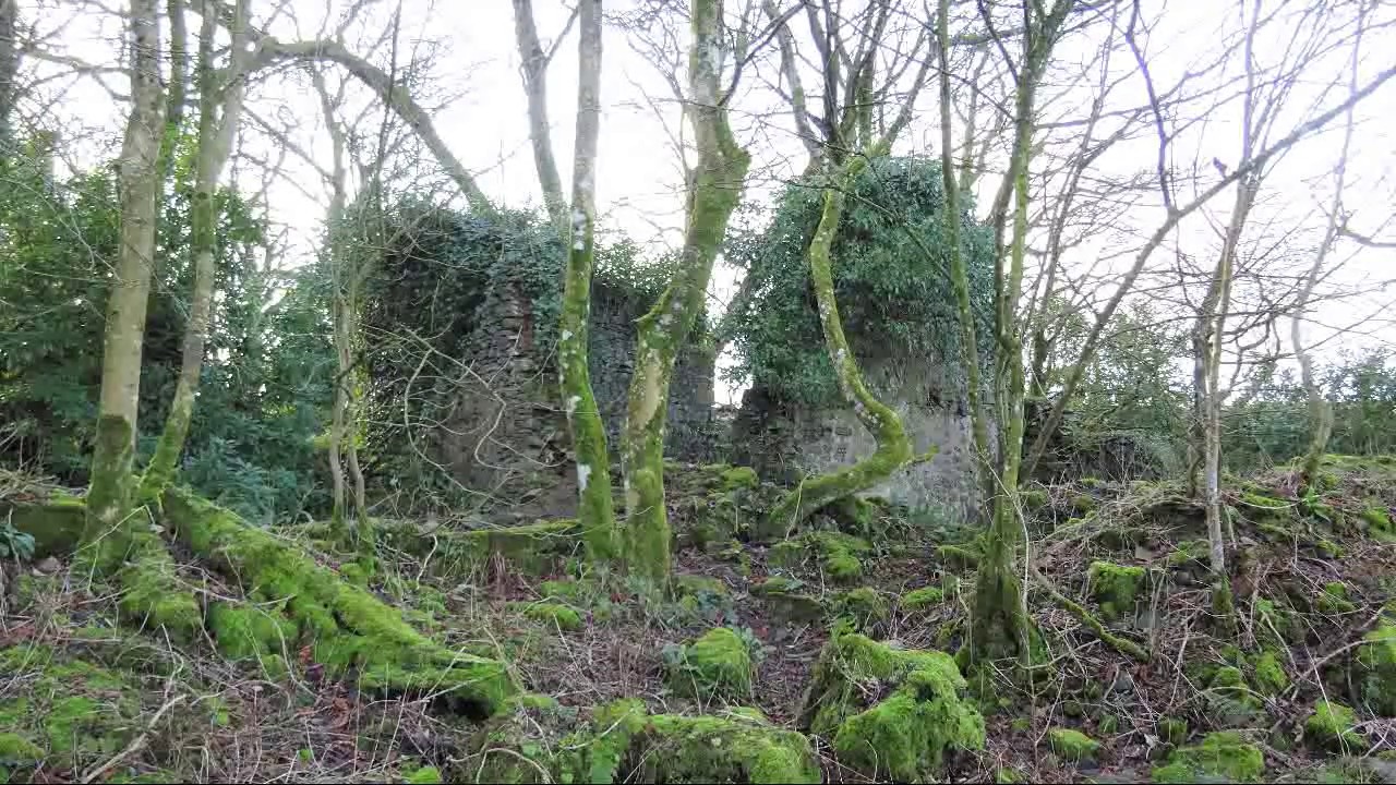 The Ruins of Templehouse, Dunlop, East Ayrshire YouTube