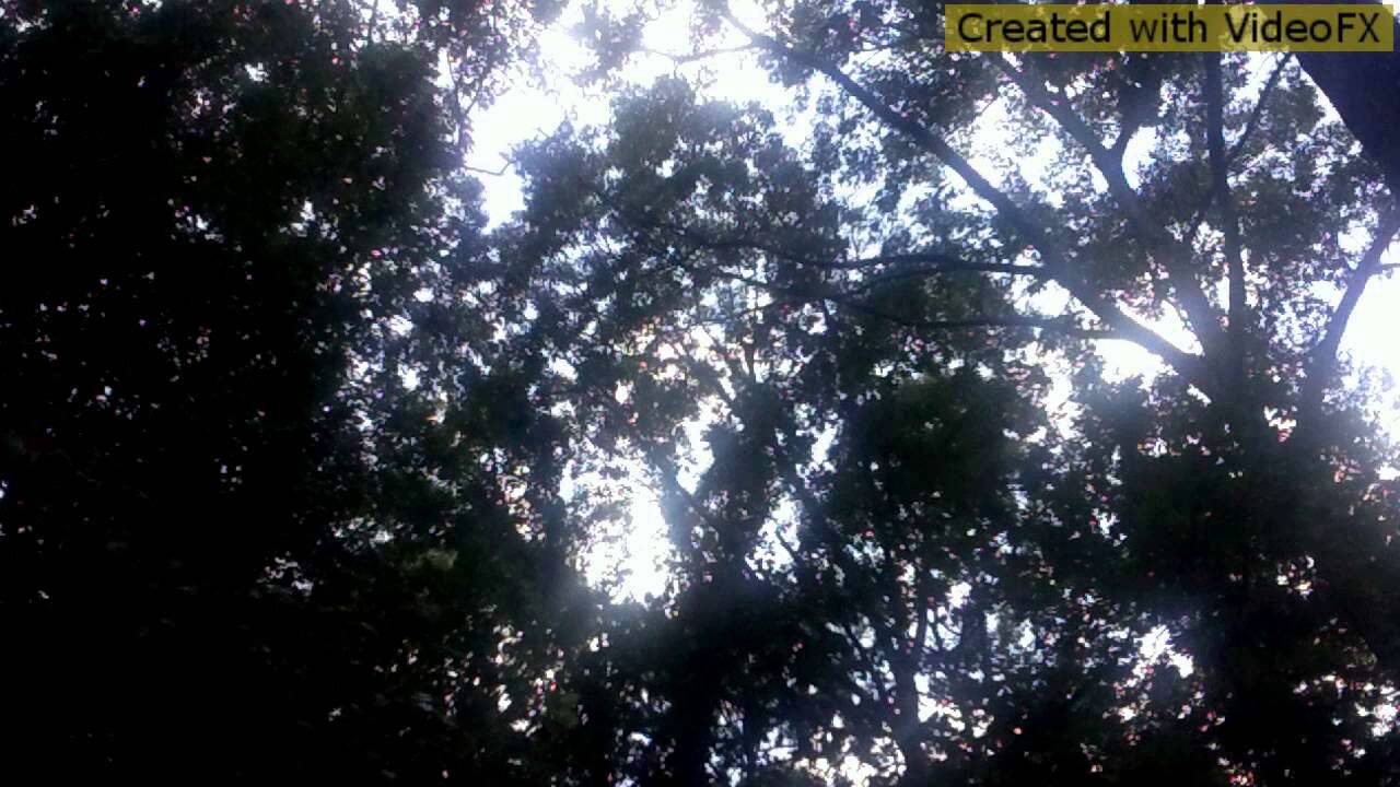 In it. (Instrumental prod.Capital/Trippy z)