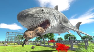 MEGALODON ZOO RACE - Animal Revolt Battle Simulator