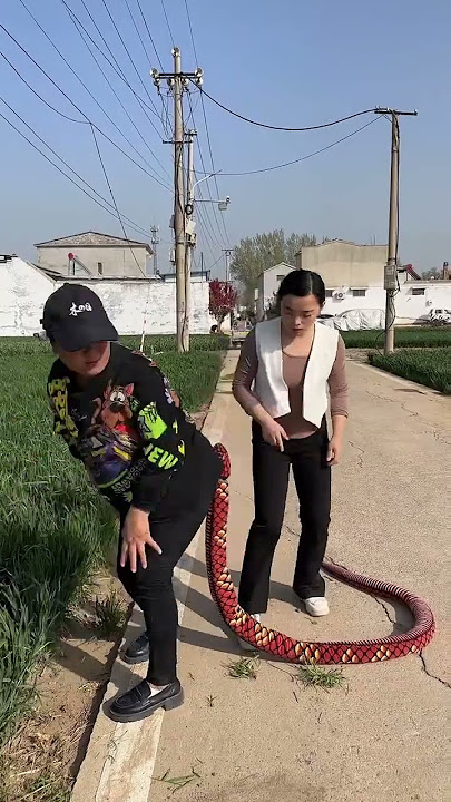 3x7zkvtpemv2z8a.mp4