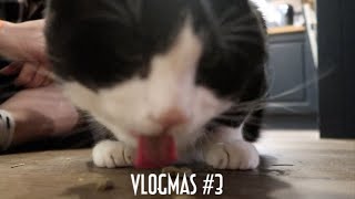 Edgar Has An Advent Calendar | Vlogmas #3