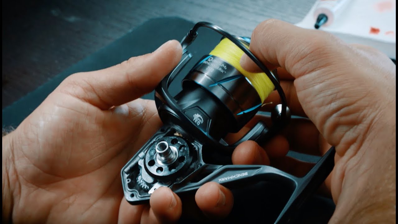 best fishing reels for fluke The Best Saltwater Fishing Reels of 2026