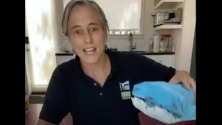 Make Your Own Blue Whale! screenshot 2