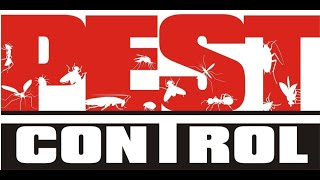 Best Pest Control Spokane