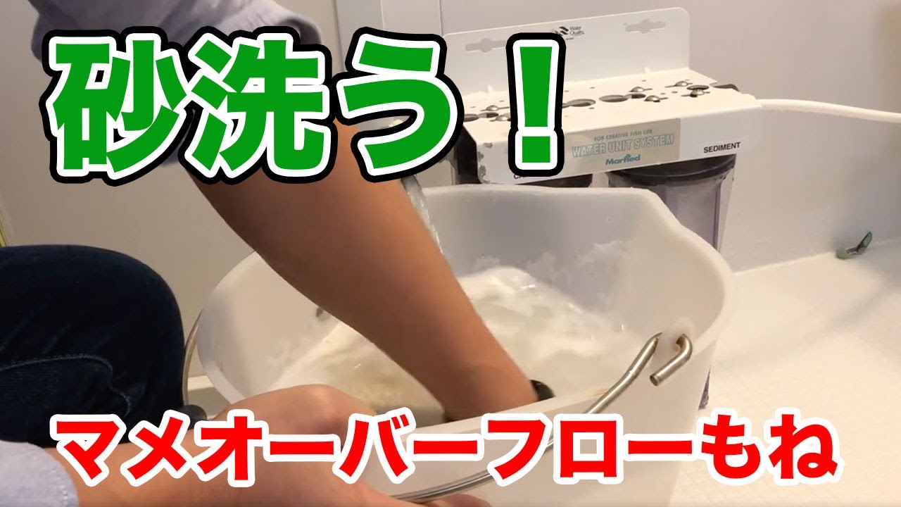 マメデザインのオーバーフローの説明とサンゴ砂を洗う サンゴ砂はアラゴナイトサンド Youtube