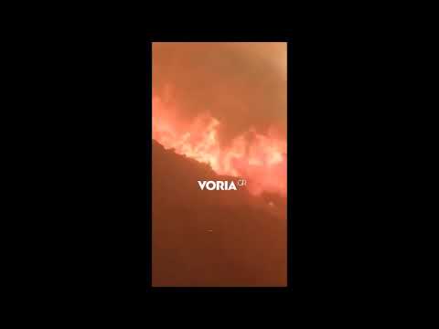 Έβρος: Λεωφορείο με πυροσβέστες περνά μέσα από τις φλόγες