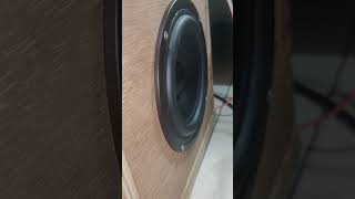 Amplifier Subwoofer 2.1 and Speaker 5 Inch Test 1 with Cube Box