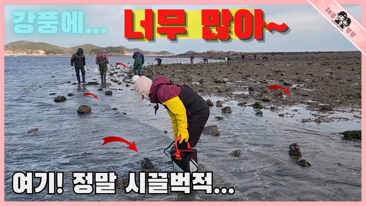 주간탐사 해루질 많아도 이렇게 많아 여기저기 환호성이 나오는곳