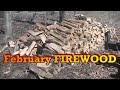 February Is For Cutting FIREWOOD