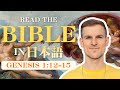 Read the Bible in Japanese! (Genesis 1:12-15)