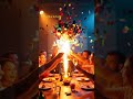 When You Invest in TRIGO… and Life Starts Feeling Like a Celebration 🎉🚀💚