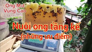 Nuôi ong thùng kế ( những ưu điểm)