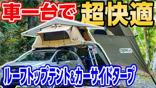 【車中泊キャンプ道具】オガワのカーサイドタープ快適空間⛺️ワンちゃん用アイテム登場