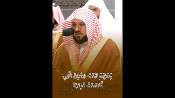 وَمَرْيَمَ ابْنَتَ عِمْرَانَ الَّتِي أَحْصَنَتْ فَرْجَهَا | ماهر المعيقلي - سورة التحريم