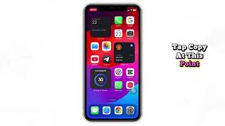 iPhone पर फ़ोटो से टेक्स्ट कैसे निकालें screenshot 4