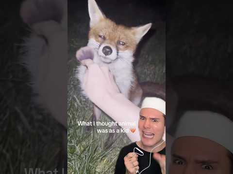 TESTING MAKEUP ON ANIMALS!π± #makeuphacks #makeupshorts #makeuptips #makeuptutorial #beautyhacks