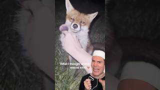 TESTING MAKEUP ON ANIMALS!😱 #makeuphacks #makeupshorts #makeuptips #makeuptutorial #beautyhacks