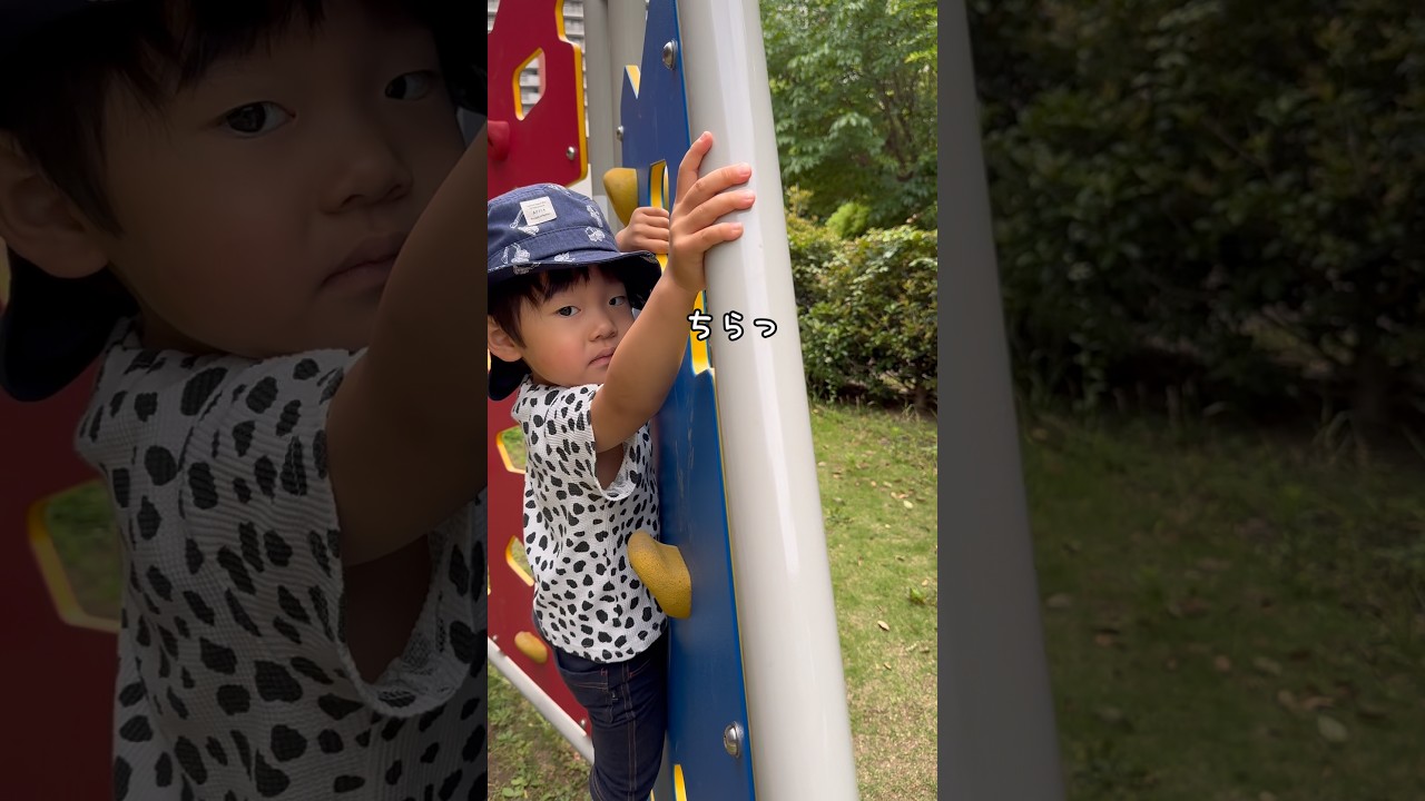 ちいさな地球とクローバ 3 years 5 months old] I climbed the playground equipment