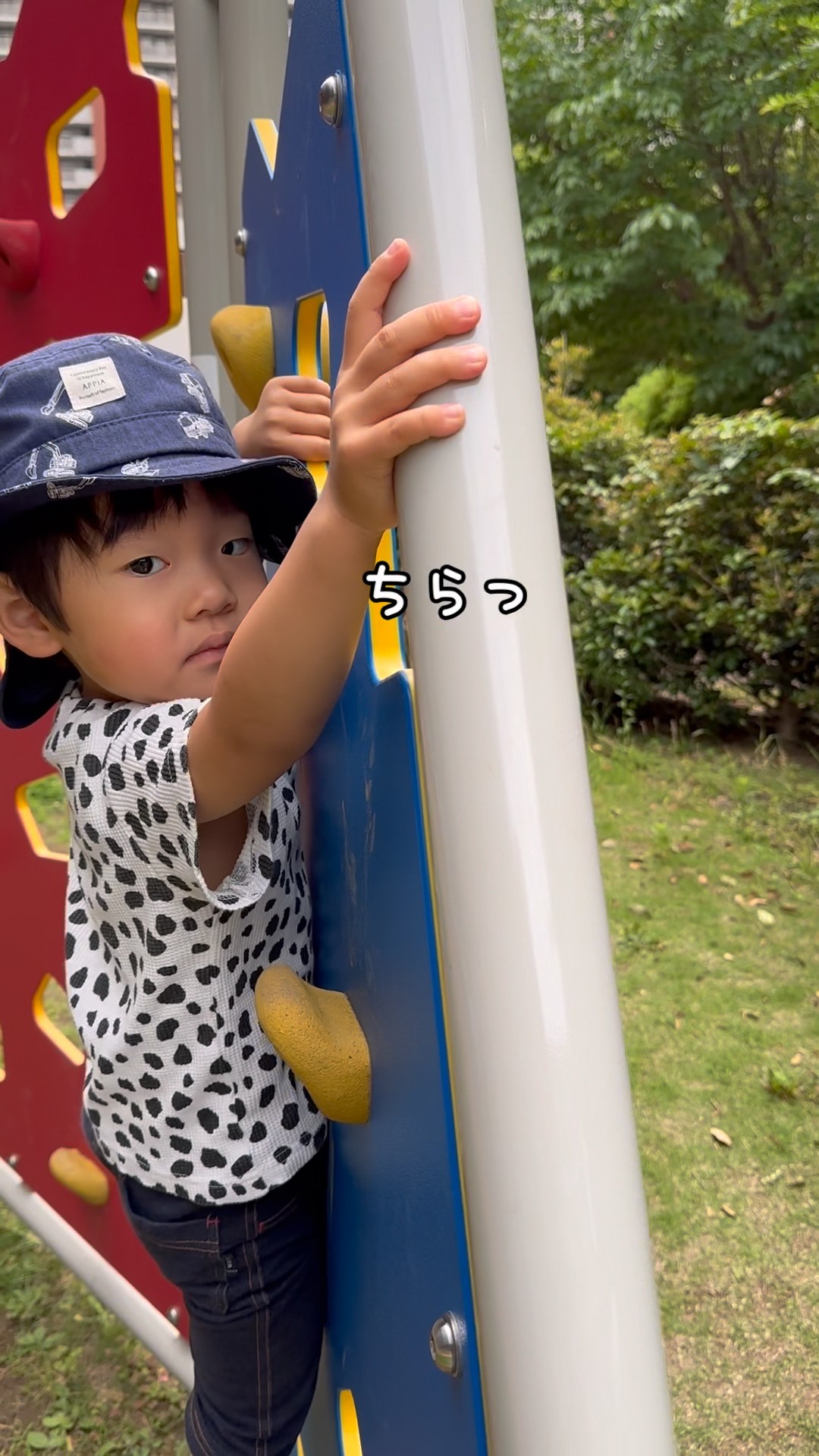 3 years 5 months old] I climbed the playground equipment