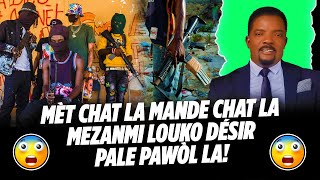 MÈT CHAT LA MANDE CHAT LA MEZANMI LOUKO DÉSIR PALE PAWÒL LA!!!