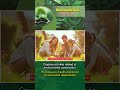 Environmental #nature #plants