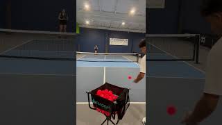 IMG 6651