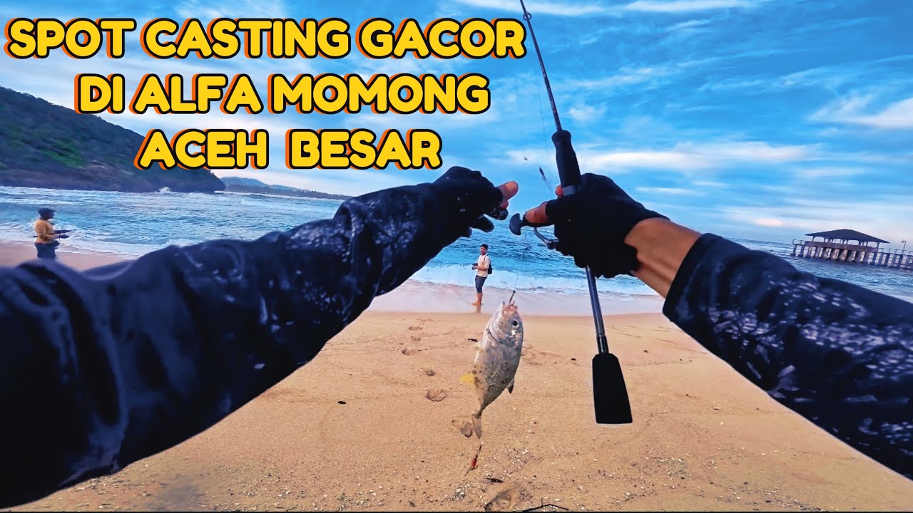 SPOT MANCING ALFA MOMONG | SPOT CASTING PINGGIRAN DI ALFA MOMONG | SPOT MANCING EKY MOMONG