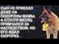 Сын не приехал даже на похороны мамы, а спустя месяц примчался за наследством, но его ждал сюрприз..