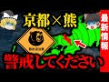 京都を揺るがす「史上最悪の熊出没」…”禁断のライン”を超えて観光地を狙う熊の変化【ゆっくり解説】