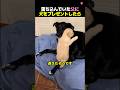 犬は嫌いって言ってた父のまさかの反転