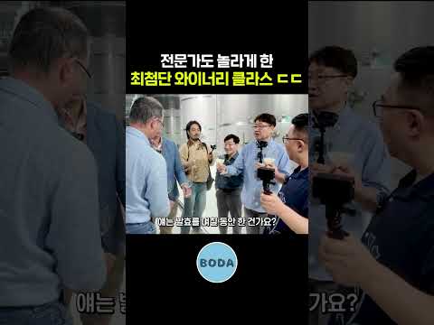 와인계 하이닉스라 불리는 <strong>압도적</strong> 규모의 와이너리 <strong>최초</strong> 공개 ㄷㄷ
