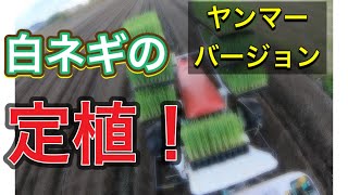 【定植】ヤンマーの定植機を使って白ネギの定植をしました。