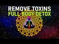 741 Hz Removes Negativity and Toxins ! Aura Cleanse Healing Frequency ! Spiritual Awakening Music