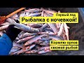 Рыбалка с ночевкой на первом льду! Кормлю орлов свежей рыбой // (Eng Subs)