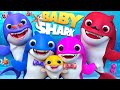 𝑵𝑬𝑾 Baby Shark doo doo 🦈, Bingo School Dog Song , Baby Shark Learns Colors - #babyshark  #cocomelon