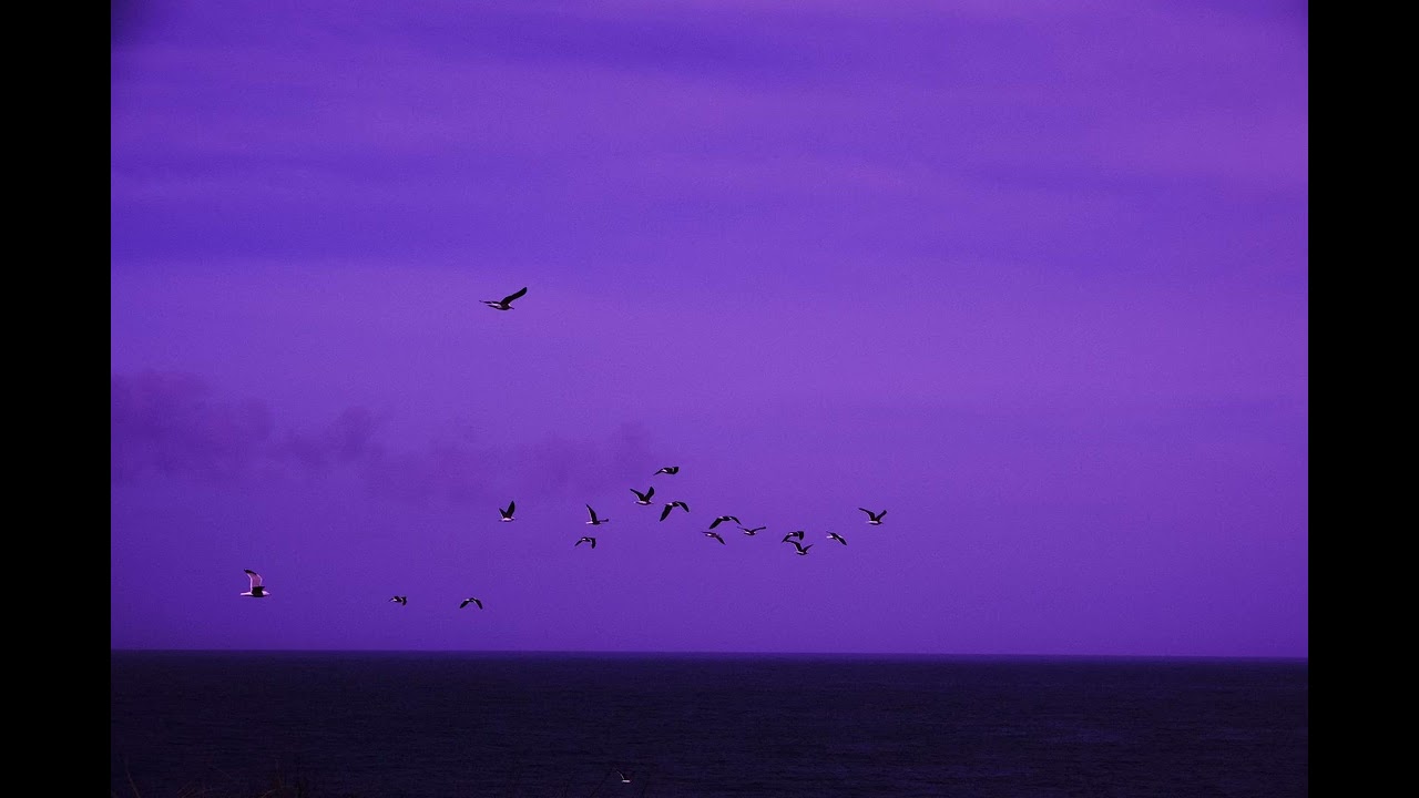 [FREE FOR PROFIT] Phoebe Bridgers + Bon Iver + Indie Folk type beat "Aching and Drifting"