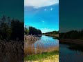 Žagarė  #zagare
