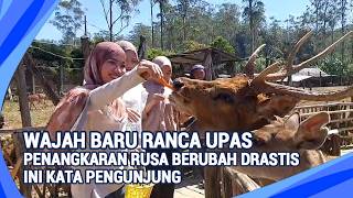 ly Managed by Palawi, Ranca Upas Deer Sanctuary Has Completely Transformed Since June 2026