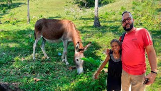 LA VIDA DEL CAMPO ES BELLA CON NANI Y BERTO EN CANTABRIA,REPÚBLICA DOMINICANA.