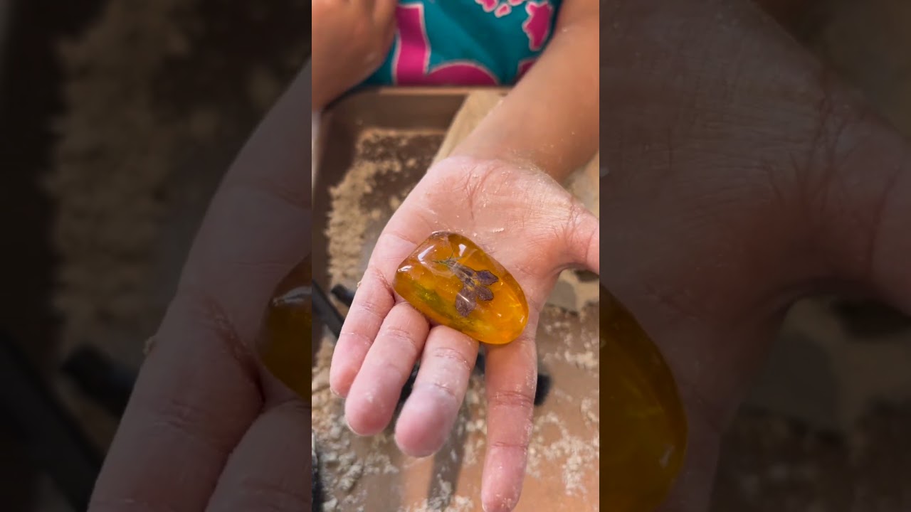 How to Find the Real Amber with Amazing GobiDex Dig Kit 