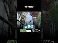 大巨蛋是「護樹」，還是「勒樹」？