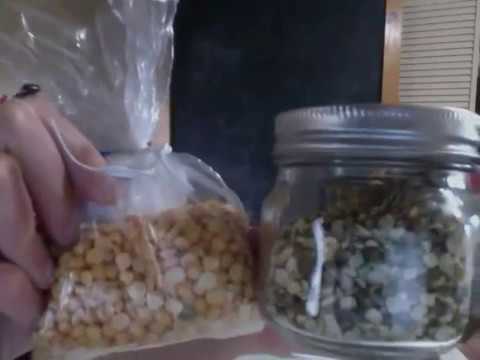 Lab 1 Experiment - YouTube