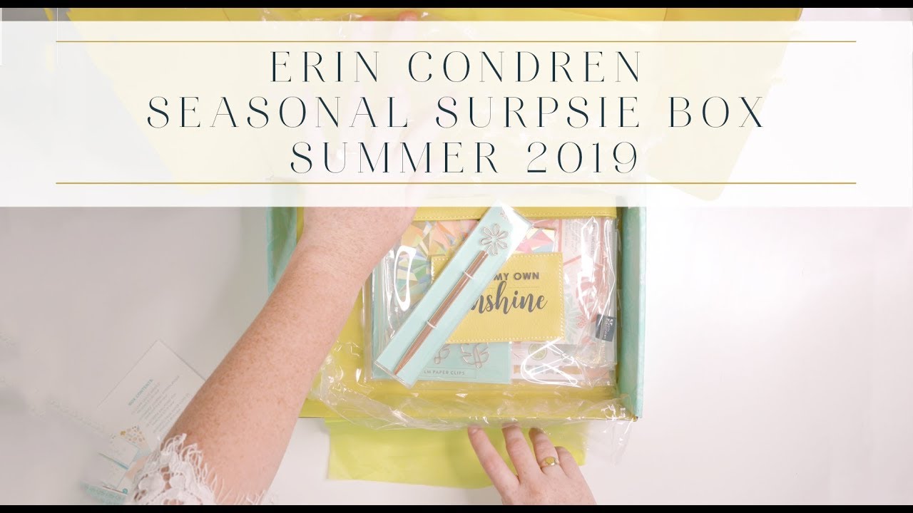 Erin Condren Seasonal Surprise Box | Summer 2019