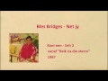 Bles Bridges - Net jy
