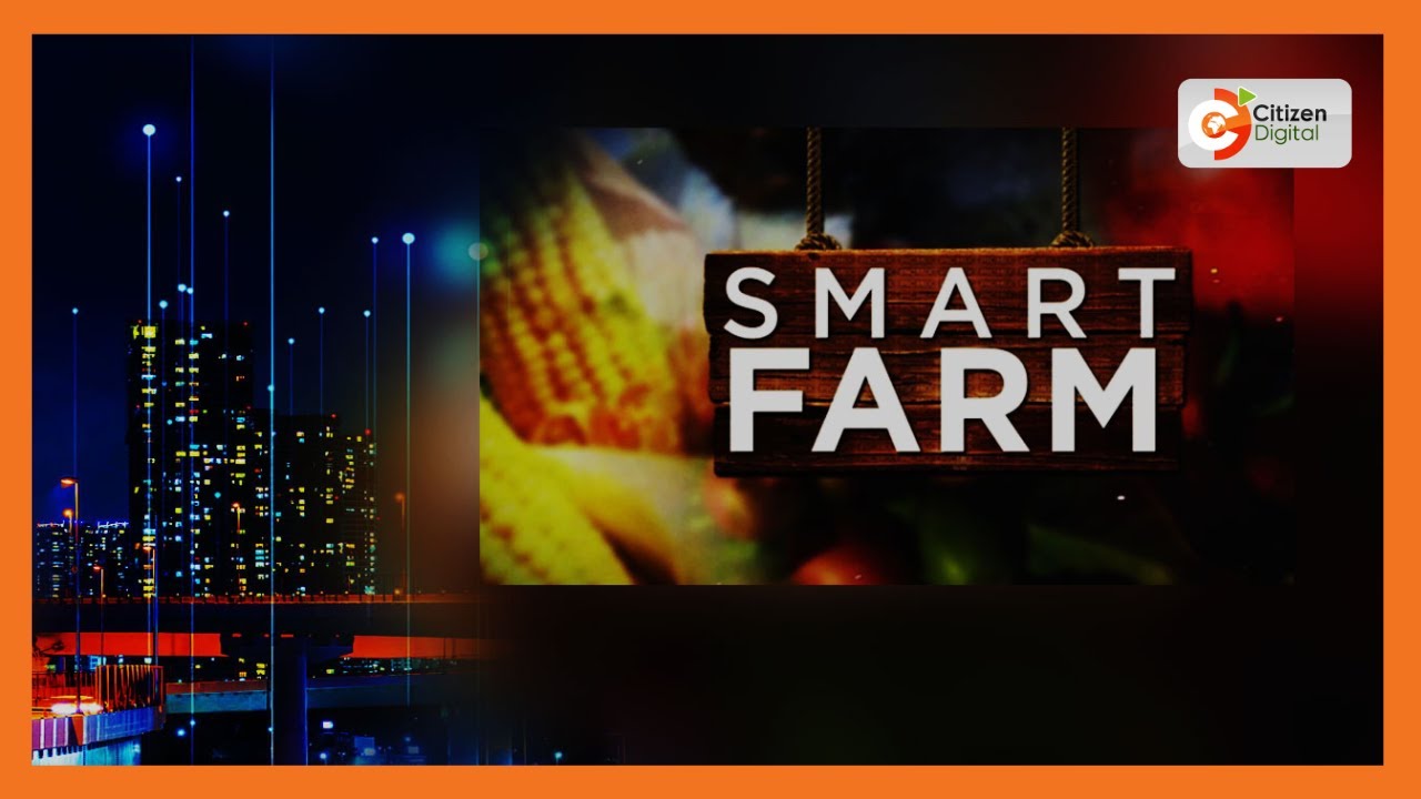 Smart Farm|Focus on ornamental bird keeping in Nakuru