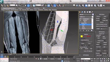 3DS Max Character Modeling Tutorial |Forming the Midline of the Body