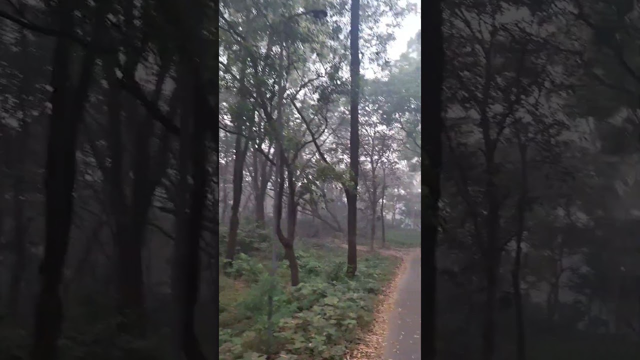 Jahangirnagar University Campus 