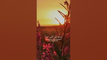 تلاوة خاشعة #قرآن #اكسبلور #trendingvideo #دويتو #fypp #لايك #tik_tok #تيك_توك #راحة_نفسية #tanding
